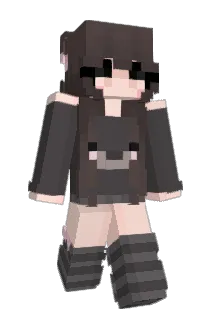 viapee Minecraft avatar full body