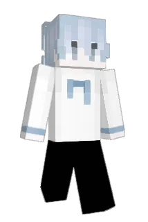 vichow Minecraft avatar full body