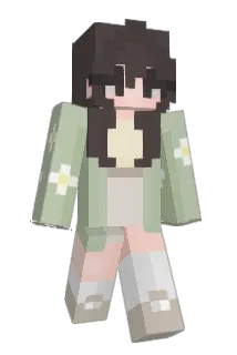 vick_3304 Minecraft avatar full body