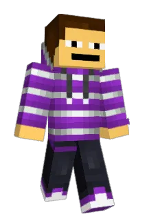 vidcon Minecraft avatar full body