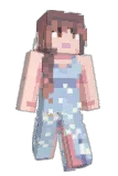 vihgb Minecraft avatar full body