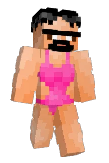 vikfg Minecraft avatar full body