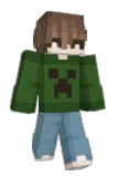 vili55 Minecraft avatar full body