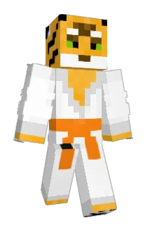 villasaldi Minecraft avatar full body