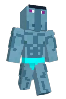vilsen8 Minecraft avatar full body