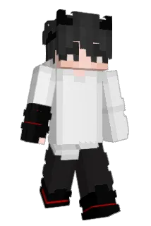 vin558898 Minecraft avatar full body