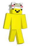 vinozs Minecraft avatar full body