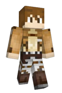 vipguin Minecraft avatar full body