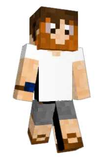 viptour9 Minecraft avatar full body