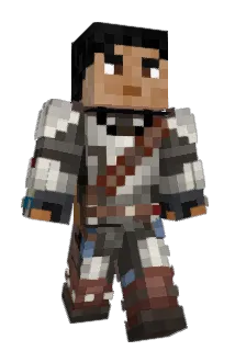 visabtw Minecraft avatar full body