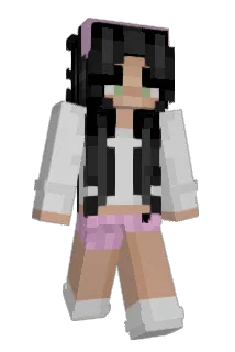visioniccc Minecraft avatar full body