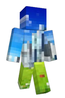 vista4life Minecraft avatar full body