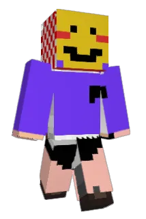 vitamin_Pchan Minecraft avatar full body