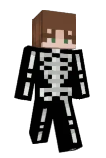 vivadillo Minecraft avatar full body