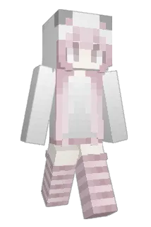 vixei Minecraft avatar full body