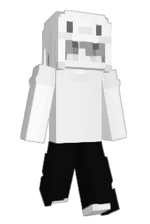 vixieSJ Minecraft avatar full body