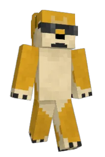 vizchris Minecraft avatar full body