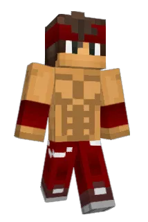 vj987 Minecraft avatar full body