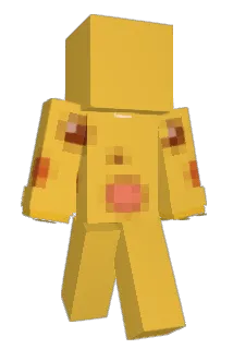 vleage Minecraft avatar full body