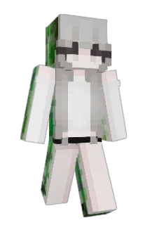 vlowerss Minecraft avatar full body