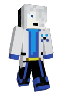 vm1243 Minecraft avatar full body
