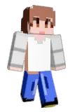vndrud Minecraft avatar full body