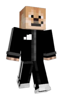 vntss Minecraft avatar full body