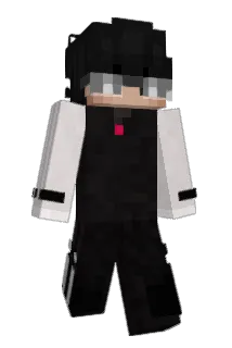 voche Minecraft avatar full body