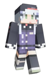void793 Minecraft avatar full body