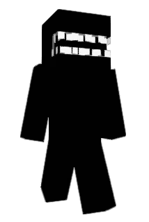 void_or Minecraft avatar full body