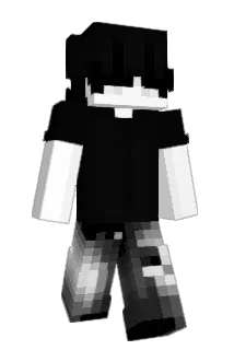 voidflowerr Minecraft avatar full body