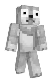 voidiiz Minecraft avatar full body
