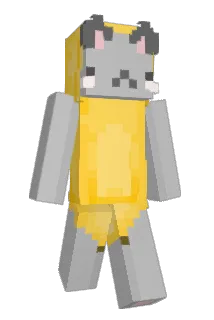 voidoxa Minecraft avatar full body