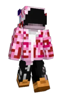 voidsgrail Minecraft avatar full body