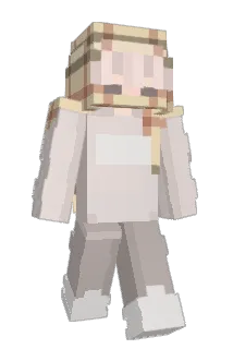 vokeairs Minecraft avatar full body