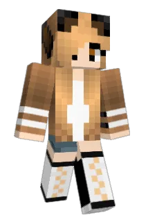 volkswagons Minecraft avatar full body