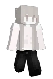 vonneti Minecraft avatar full body