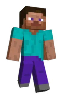 vortex_zip Minecraft avatar full body
