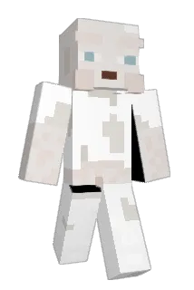 vortexmp Minecraft avatar full body