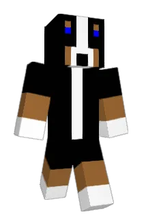 vovsi123 Minecraft avatar full body