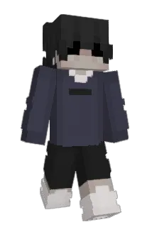vsdcklg0 Minecraft avatar full body