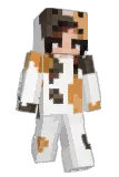 vstrn Minecraft avatar full body