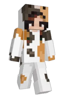 vstrn Minecraft avatar full body