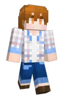 vusual Minecraft avatar full body