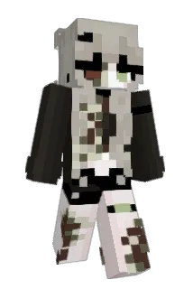 vv3nuss Minecraft avatar full body