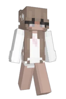 vvinteri Minecraft avatar full body