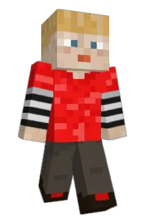 vxrychxrry Minecraft avatar full body