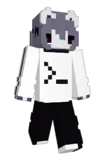 w1t1 Minecraft avatar full body