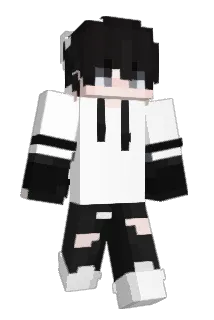 w21d Minecraft avatar full body
