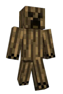 w3ry0 Minecraft avatar full body